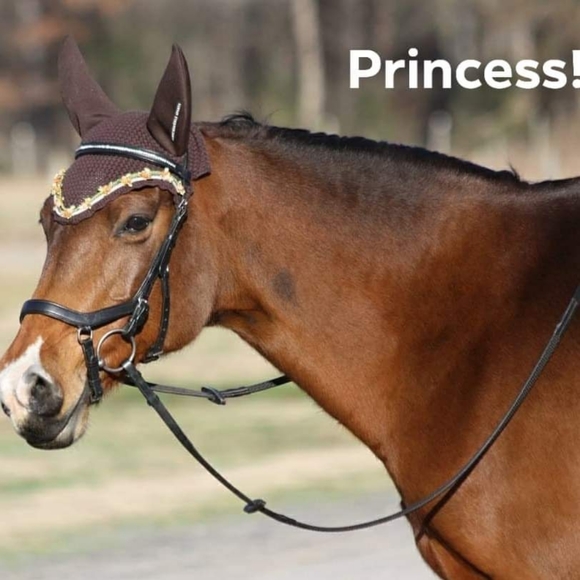 Meet your Posher, Felicia - Picture 9 of 9